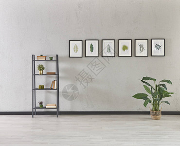 带现代书柜的灰色石墙客厅里的植物图片