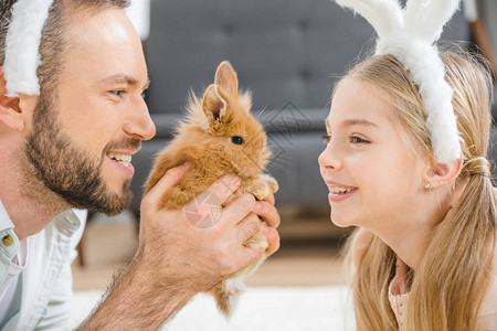 在兔子耳朵里父女玩兔子的图片
