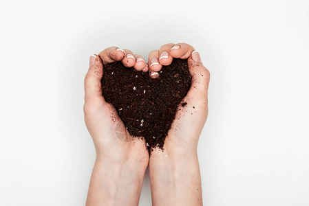 妇女将心脏塑造的土壤握在孤立于白日地球日概念的手背景图片