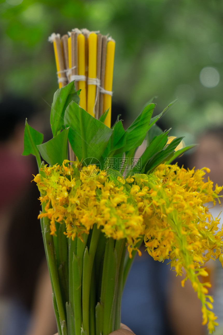 在泰国萨拉布里Saraburi的WatPhraPhuttatbat植物节上图片