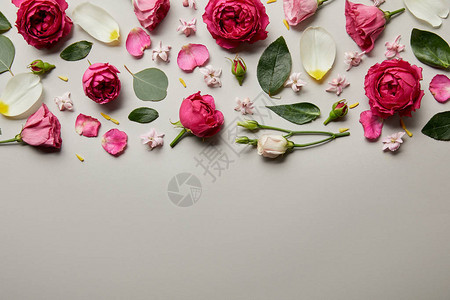 粉红玫瑰叶子芽和花瓣的顶部视图图片