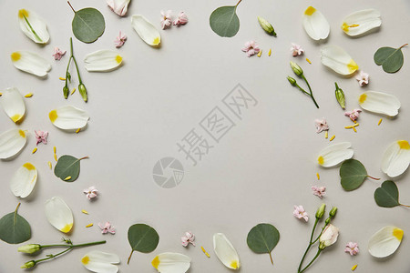 由花瓣和叶制成的圆花板顶部视图灰色上图片