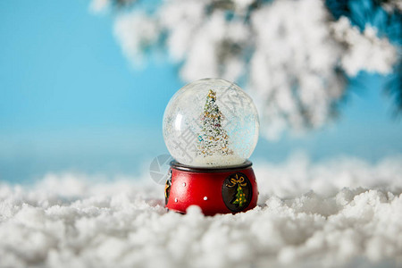 小圣诞树雪球中的小圣诞树站在图片