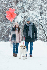 有心形气球和狗在冬雪公园行图片