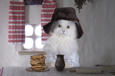 戴帽子的猫吃煎饼图片
