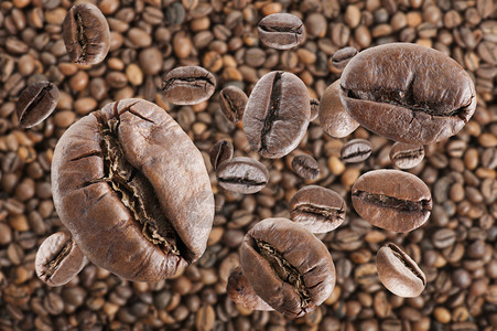 咖啡豆雨在咖啡豆背景图片