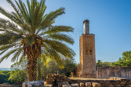 ChellahSalaColonia清真寺废墟尖塔图片