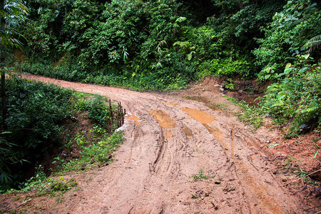 农村一条泥巴路上的轮胎轨迹乡村交通频繁图片