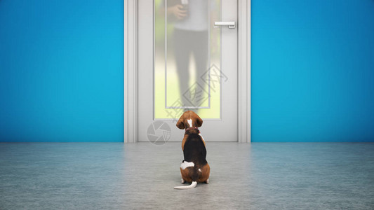 带宠物乘电梯狗在前门等候3d渲染设计图片