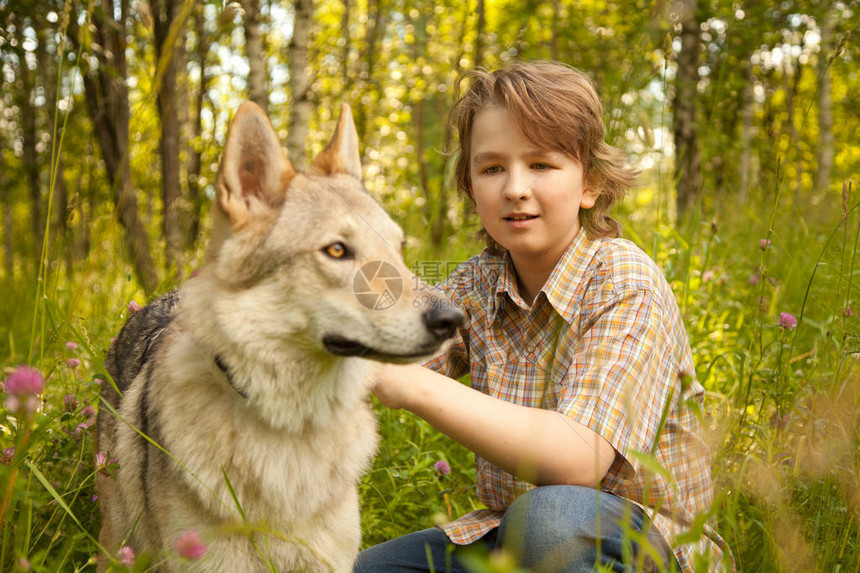 漂亮的小男孩和草地上的大狗狼图片