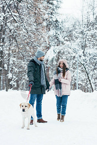 有狗在冬季雪地公园散图片