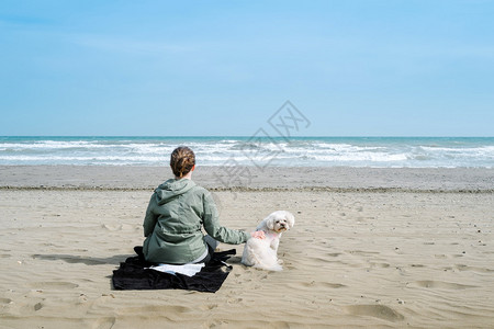 海边度假的女人和她的狗图片