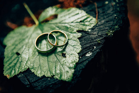 树叶上的结婚戒指背景图片