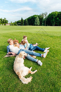快乐的年轻家庭有金色猎犬在野餐图片