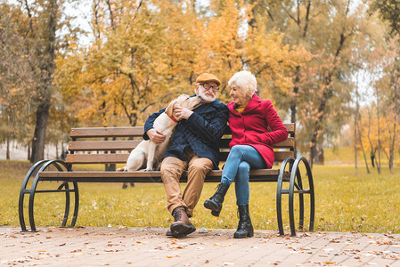 高龄夫妇和拉布多人猎犬在秋天公背景图片