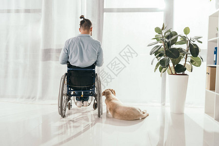 残疾人坐在轮椅上图片