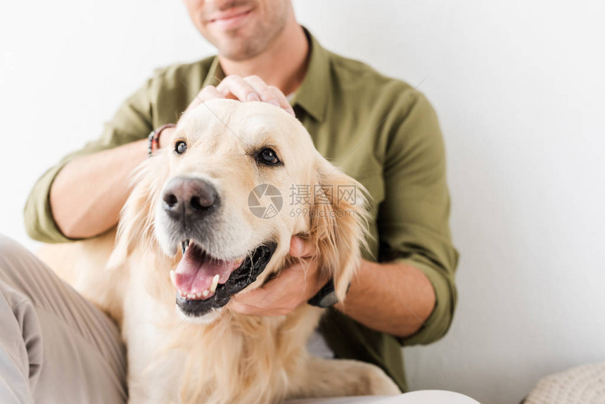 男人抚摸金毛猎犬的剪影图片