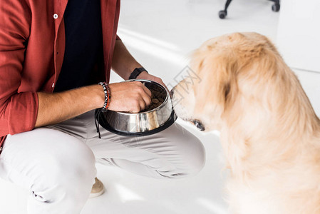 人肉从手抓金犬的食狗中捕图片