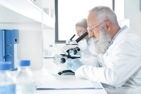 科学家在白大衣的侧面视图与化学实验室显背景图片