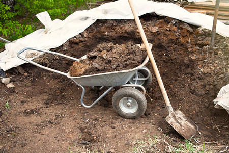 堆肥土壤在独轮车和铁锹图片