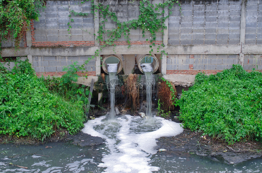村里的污水管排入运河图片