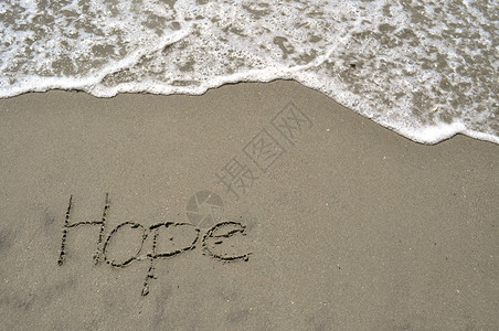 沙中的希望背景图片