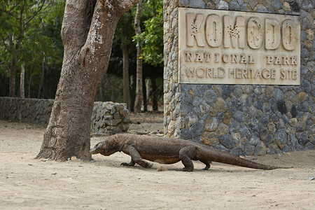 在Komodo公园标志下监视图片