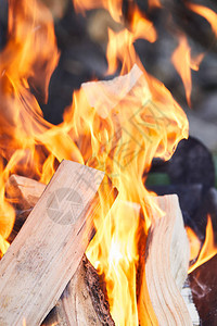以烧烤炉火烈作为木柴图片