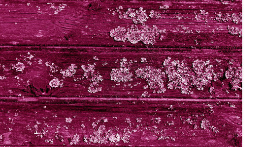 粉红色的老土木质栅栏图案设计的背图片