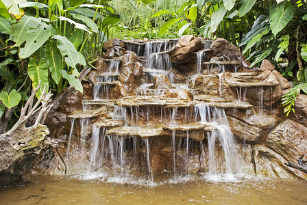 哥斯达黎加雨林LaPaz瀑布花图片