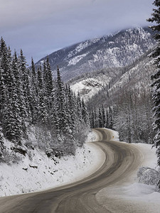 穿过积雪森林的公路图片