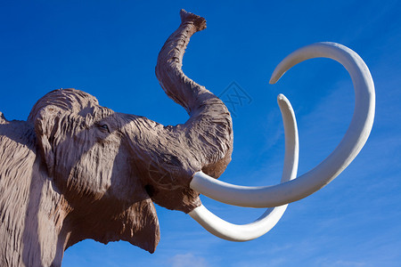 已灭绝的长毛猛犸象雕塑图片