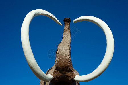 长毛大象灭绝的雕塑与令人印象深刻图片