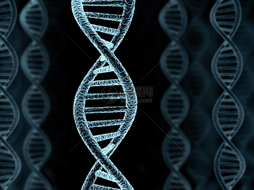 DNA螺旋式模型背景在图片