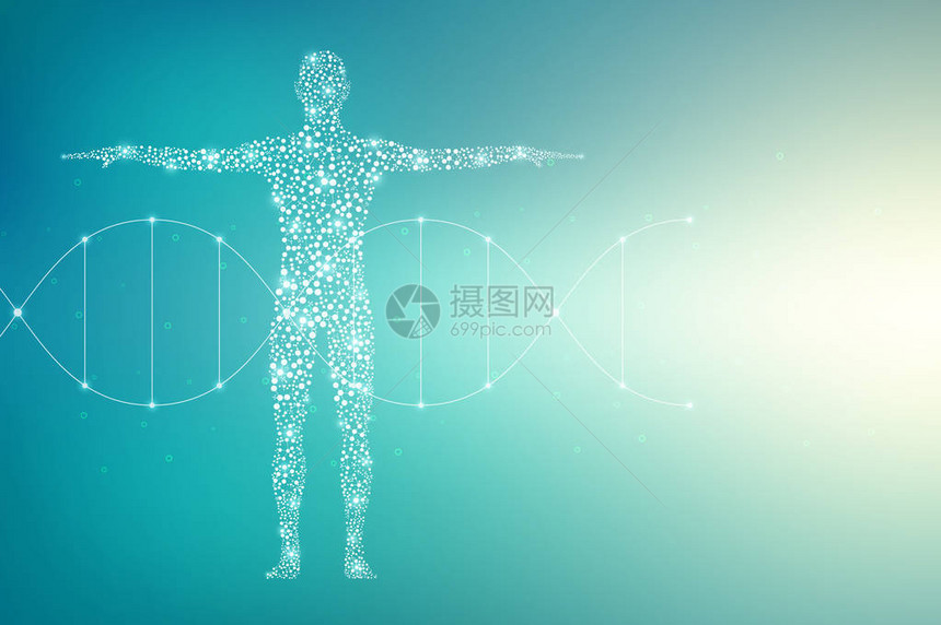 与分子脱氧核糖酸的抽象人体医学科图片