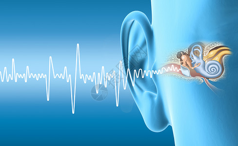 3D插图显示人耳与中耳中耳炎耳道鼓膜耳道和耳图片