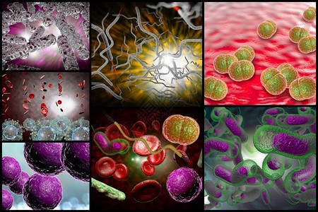 奈瑟菌3D显微镜在拼贴图象中将各种细设计图片