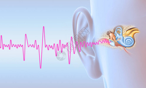 插图显示人耳与中耳中耳炎耳道鼓膜耳道和耳蜗神经插画