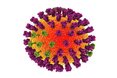 正粘病毒科3D图解显示表面甘蛋白质的峰值硫基丁紫色和设计图片