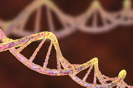 DNA双螺勒科学背图片