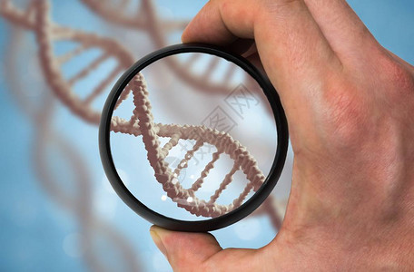 科学家检测DNA分子遗传学研究概念图片