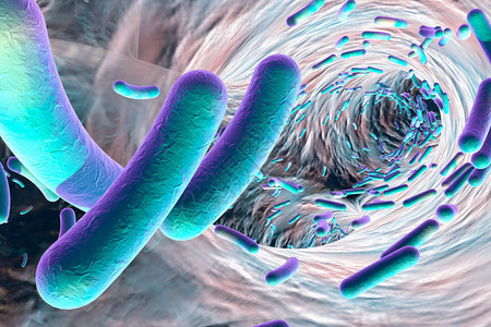 抗生素耐药性抗生素抗细菌的生物膜棒状细菌大肠杆菌假单胞菌结核分枝杆菌克雷伯氏菌插画