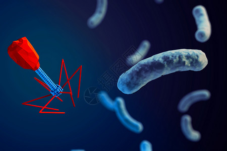 噬菌体攻击细菌的3d宏观图解设计图片
