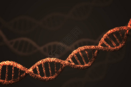 黑色背景上的双DNA螺旋分子3D图片