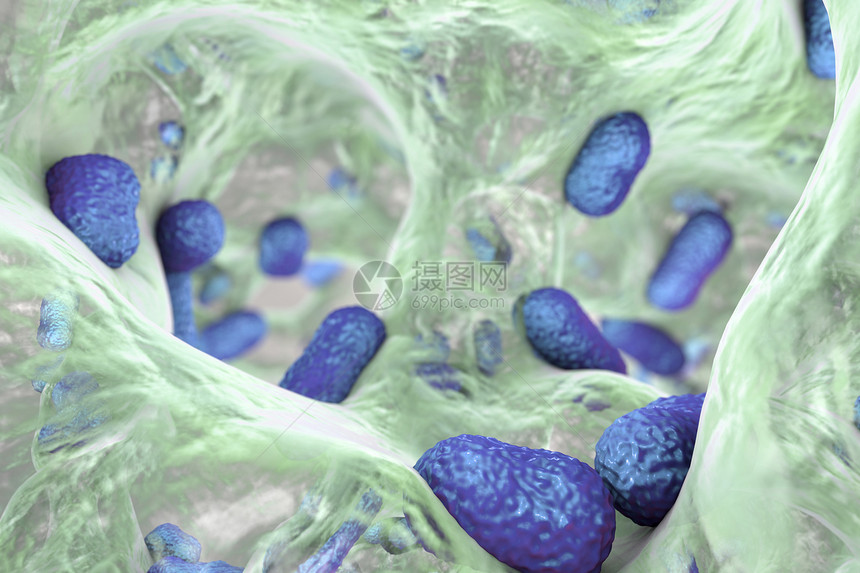 鲍曼不动杆菌的生物膜图片