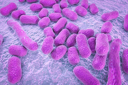 耐多药的医院细菌3D插图显示不动杆菌的形态图片
