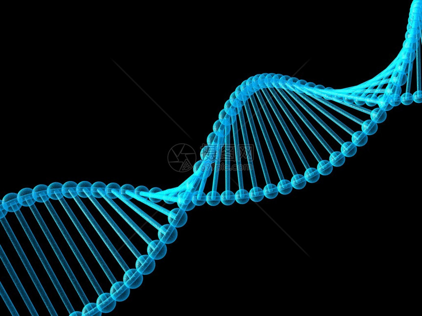 DNA中的基因3d图片