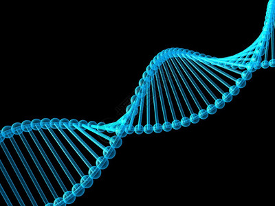 DNA中的基因3d图片
