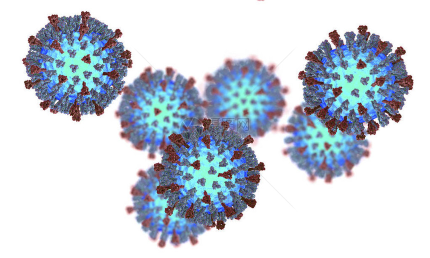 在白色背景上分离出的麻疹3D插图显示麻疹结构与表面糖蛋白尖峰血凝素神经氨酸图片