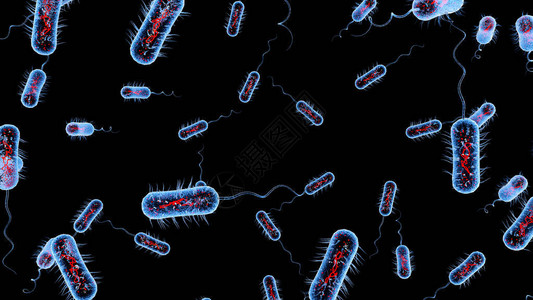 细菌细胞宏观3图片